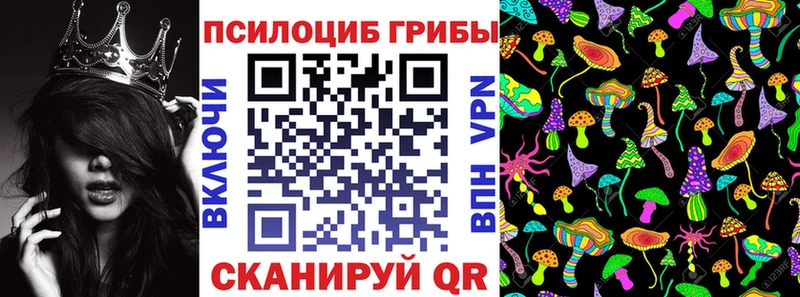 дарнет шоп  МЕГА ССЫЛКА  Псилоцибиновые грибы Magic Shrooms  Назрань 